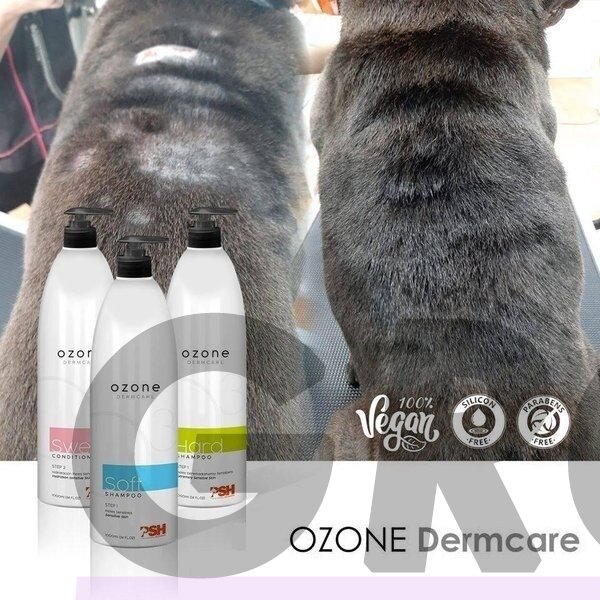 Blovi Ozone Generator – ozono generatorius, naikinantis bakterijas, virusus ir grybelius 5 Blovi Ozone Generator – ozono generatorius, naikinantis bakterijas, virusus ir grybelius 5