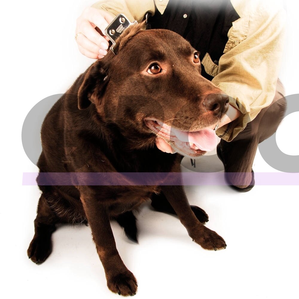 Show Tech - Furminatorius Shed Stopper Didelis 10cm 1 Show Tech - Furminatorius Shed Stopper Didelis 10cm 1