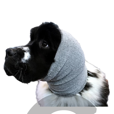 „Show Tech Ear Buddy XL“ – pilka ausų juosta labai dideliems, baikštiems šunims, skirta džiovinimui.