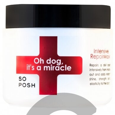 So Posh Oh Dog , It's a Miracle Mask 500ml - интенсивно питательная и восстанавливающая маска для сухой и тусклой шерсти So Posh Oh Dog , It's a Miracle Mask 500ml - интенсивно питательная и восстанавливающая маска для сухой и тусклой шерсти