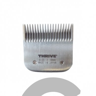 Thrive Professional Blade #2 Kirpimo galvutė aukštos kokybės 6mm Snap-On Thrive Professional Blade #2 Kirpimo galvutė aukštos kokybės 6mm Snap-On