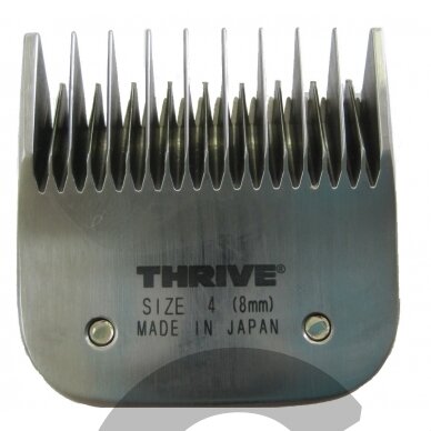 Thrive Professional Blade #4 - Kirpimo galvutė aukštos kokybės 8mm Snap-On Thrive Professional Blade #4 - Kirpimo galvutė aukštos kokybės 8mm Snap-On