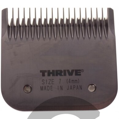 Thrive Professional Blade #7 -Kirpimo galvutė aukštos kokybės 4 mm Snap-On Thrive Professional Blade #7 -Kirpimo galvutė aukštos kokybės 4 mm Snap-On