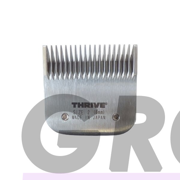 Thrive Professional Blade #2 Kirpimo galvutė aukštos kokybės 6mm Snap-On Thrive Professional Blade #2 Kirpimo galvutė aukštos kokybės 6mm Snap-On