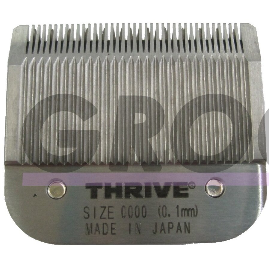 Thrive Professional Blade #0000 Kirpimo galvutė aukštos kokybės 0,1mm Snap-On Thrive Professional Blade #0000 Kirpimo galvutė aukštos kokybės 0,1mm Snap-On