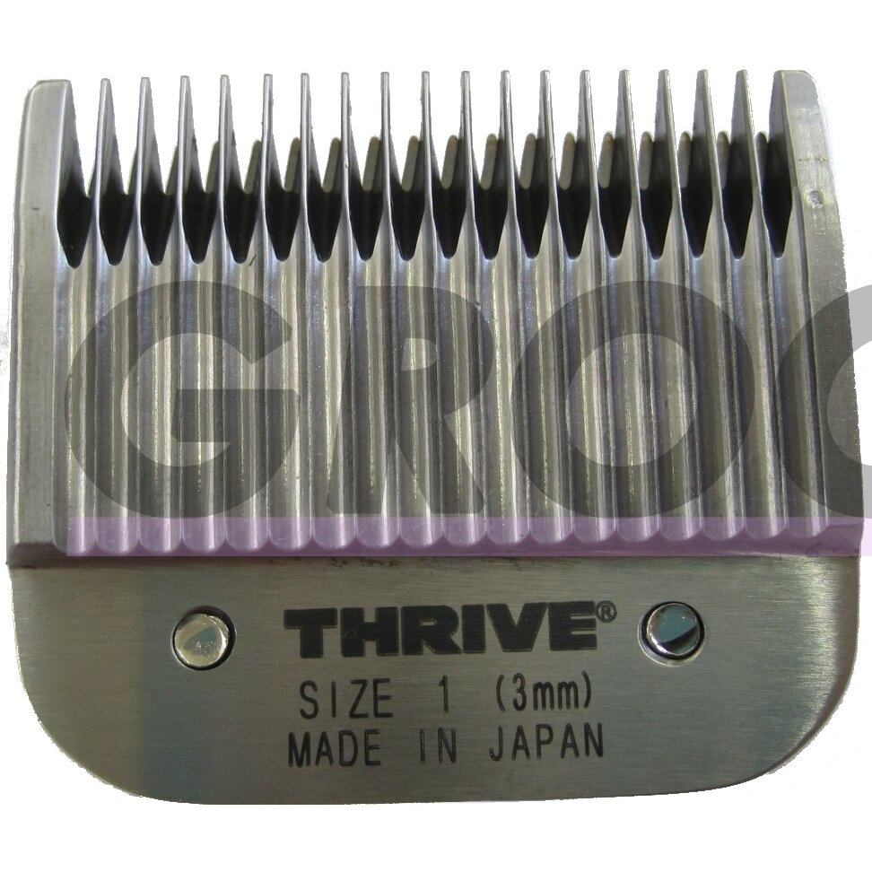 Thrive Professional Blade #1 Kirpimo galvutė aukštos kokybės 3mm, Snap-On Thrive Professional Blade #1 Kirpimo galvutė aukštos kokybės 3mm, Snap-On