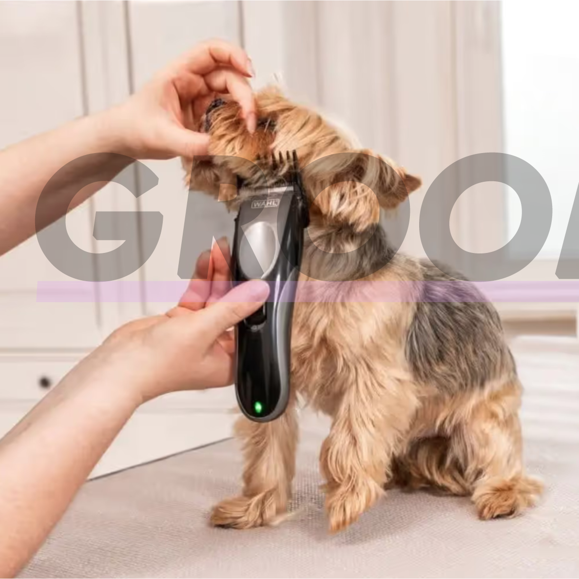 Wahl Easy Pro+ Cordless Clipper – belaidė kirpimo mašinėlė mažiems šunims 4