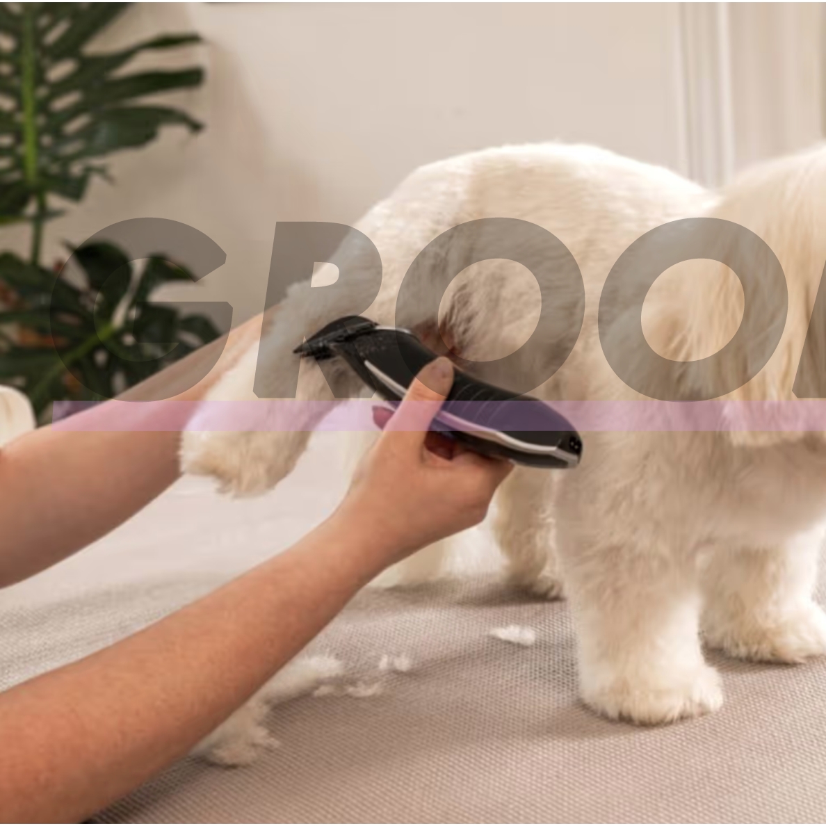 Wahl Smart Clip Cordless Clipper – belaidė kirpimo mašinėlė šunims ir katėms su reguliuojamu peiliuku 3