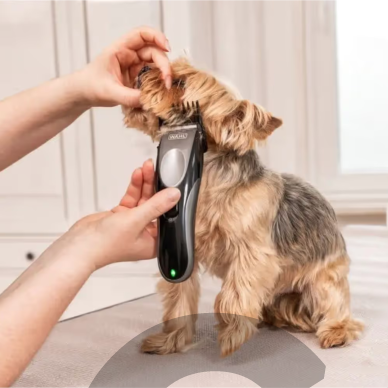 Wahl Easy Pro+ Cordless Clipper – belaidė kirpimo mašinėlė mažiems šunims 4