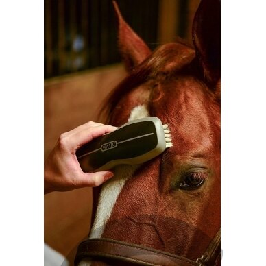 "Wahl Face Horse" 16 cm šepetys - minkštų šerių šepetys snukiui ir jautrioms vietoms 3 "Wahl Face Horse" 16 cm šepetys - minkštų šerių šepetys snukiui ir jautrioms vietoms 3