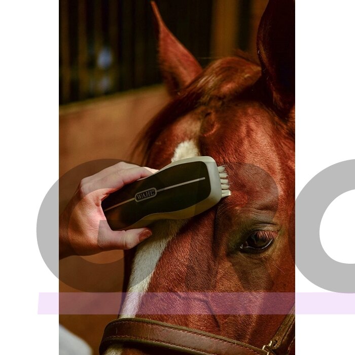 "Wahl Face Horse" 16 cm šepetys - minkštų šerių šepetys snukiui ir jautrioms vietoms 3 "Wahl Face Horse" 16 cm šepetys - minkštų šerių šepetys snukiui ir jautrioms vietoms 3