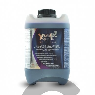 Yuup! Professional Whitening & Brightening Shampoo - profesionalus skaistinamasis ir balinamasis šampūnas. Talpa: 10L